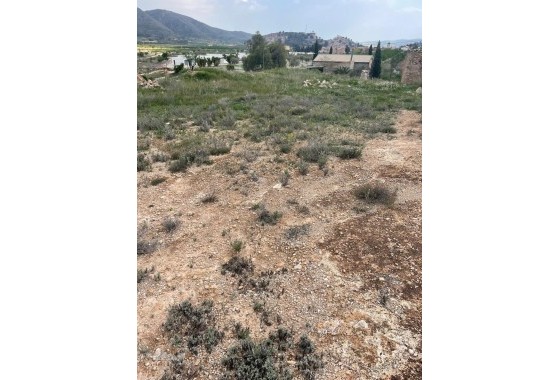 Sale - Finca Country Property -
El Cantón