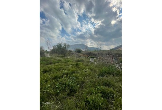 Sale - Finca Country Property -
El Cantón