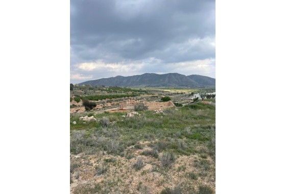 Sale - Finca Country Property -
El Cantón