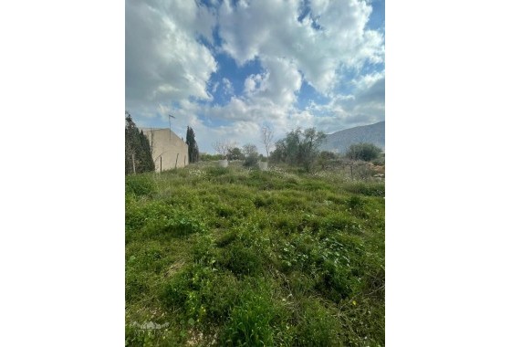 Sale - Finca Country Property -
El Cantón