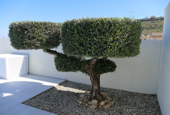 Sale - Detached Villa -
Benijofar