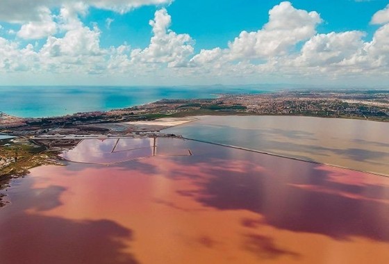 Herverkoop - Appartement / Flat -
Torrevieja - La Mata