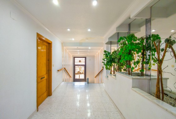 Herverkoop - Apartement Flat -
Torrevieja - Estacion de autobuses