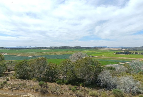 Revente - Villa Individuelle -
La Finca Golf - La Finca Golf and Spa Resort