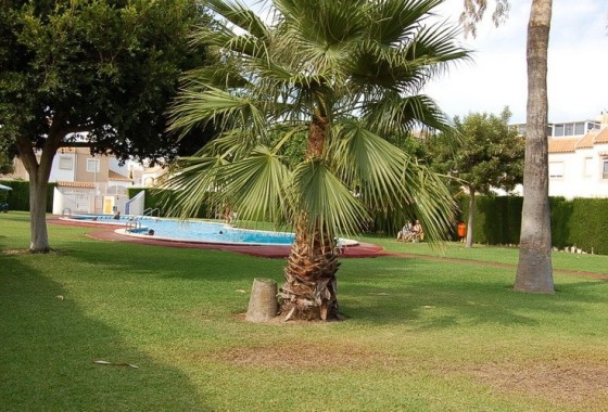 Revente - Maison de ville -
Torrevieja - El Limonar