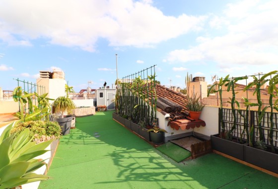 Resale - Stadthaus -
Redovan - Redovan - Town