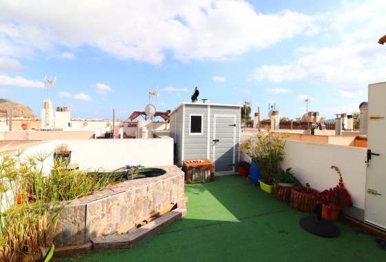 Resale - Stadthaus -
Redovan - Redovan - Town