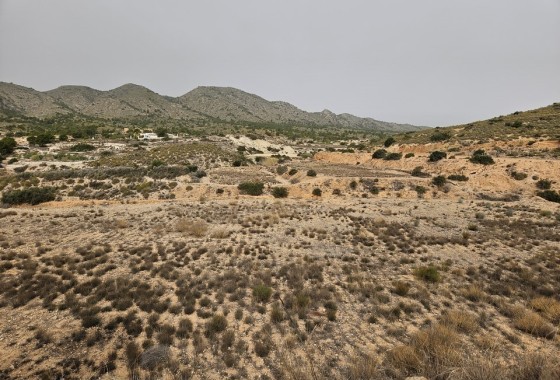 Revente - Parcelle Terrain -
Novelda