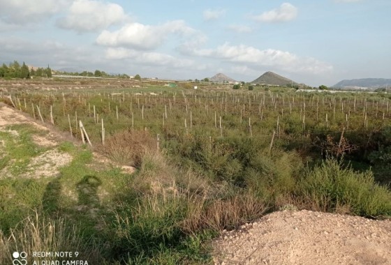 Herverkoop - Perceel / Grond -
Monforte del Cid