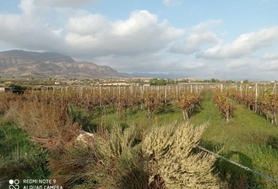 Herverkoop - Perceel / Grond -
Monforte del Cid