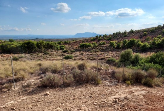 Herverkoop - Perceel / Grond -
Crevillente