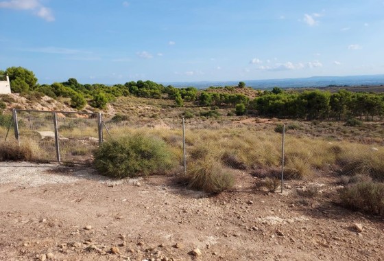 Herverkoop - Perceel / Grond -
Crevillente