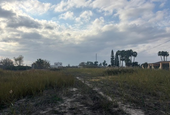 Herverkoop - Finca Landelijk pand -
Catral