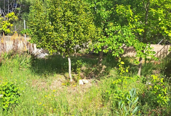 Herverkoop - Finca Landelijk pand -
Monóvar