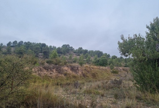 Revente - Finca Propriété rurale -
La Romana