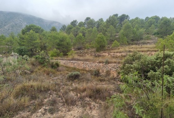 Revente - Finca Propriété rurale -
La Romana