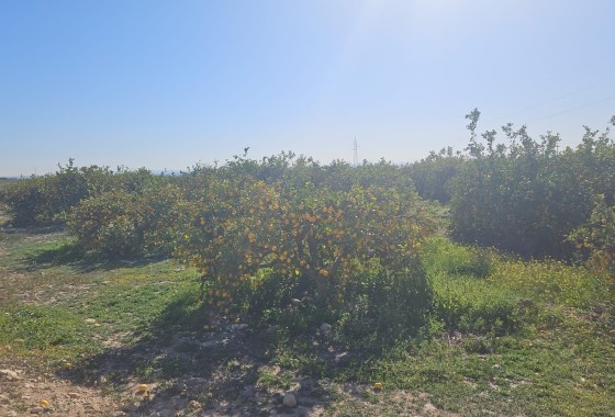 Herverkoop - Perceel / Grond -
Albatera