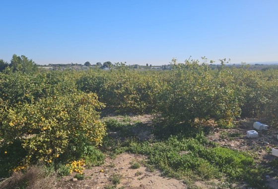 Herverkoop - Perceel / Grond -
Albatera