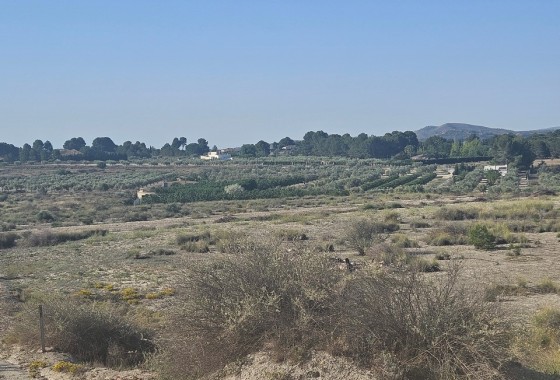 Herverkoop - Perceel / Grond -
SAX