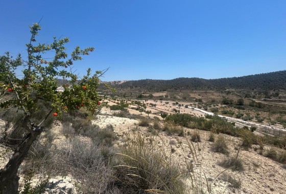 Herverkoop - Finca Landelijk pand -
Abanilla - ABANILLA