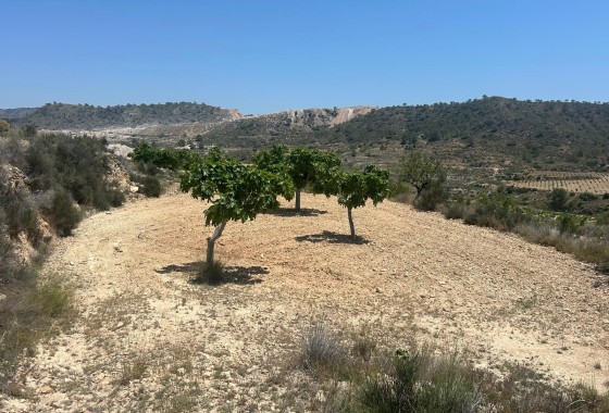 Herverkoop - Finca Landelijk pand -
Abanilla - ABANILLA