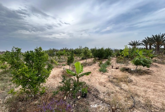 Herverkoop - Finca Landelijk pand -
Albatera