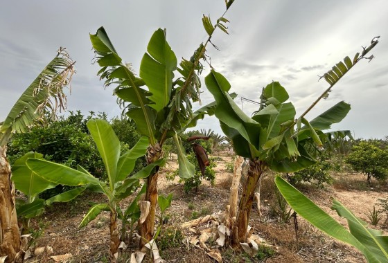 Herverkoop - Finca Landelijk pand -
Albatera