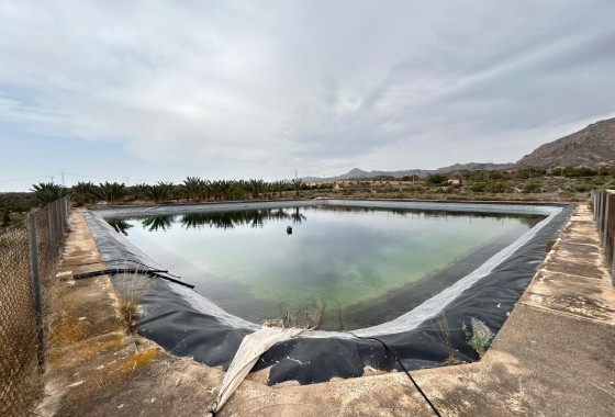 Herverkoop - Finca Landelijk pand -
Albatera