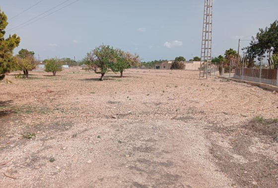 Herverkoop - Finca Landelijk pand -
Crevillente