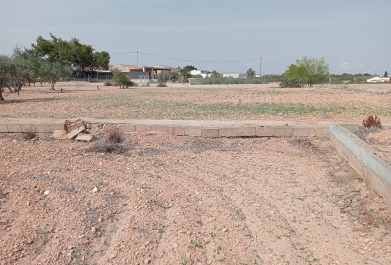 Herverkoop - Finca Landelijk pand -
Crevillente