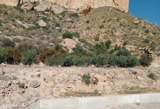 Herverkoop - Finca Landelijk pand -
Crevillente