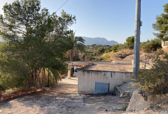 Revente - Finca Propriété rurale -
Crevillente