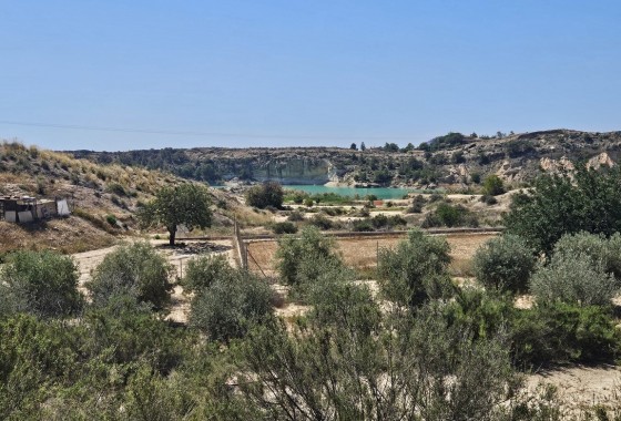Herverkoop - Finca Landelijk pand -
Crevillente