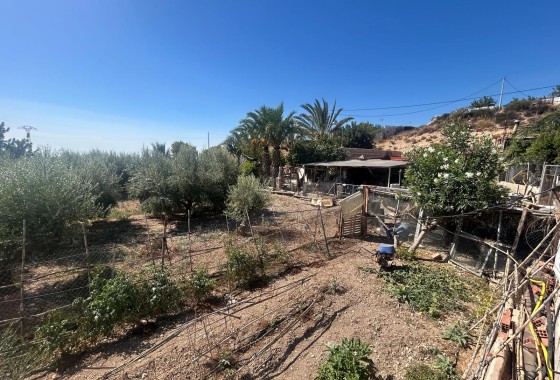 Herverkoop - Finca Landelijk pand -
Crevillente