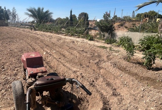 Herverkoop - Finca Landelijk pand -
Crevillente