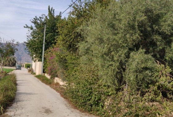 Herverkoop - Finca Landelijk pand -
Orihuela