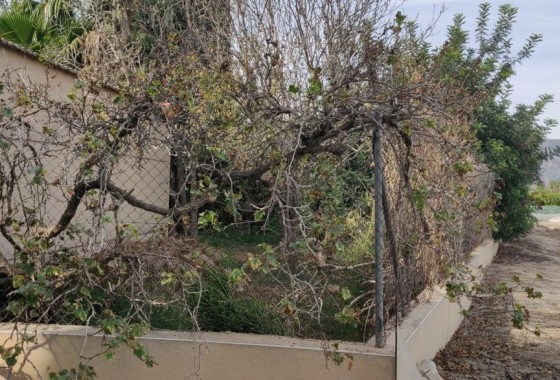 Herverkoop - Finca Landelijk pand -
Orihuela