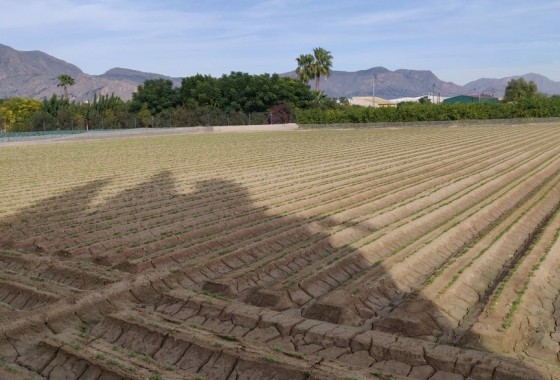 Herverkoop - Finca Landelijk pand -
Orihuela