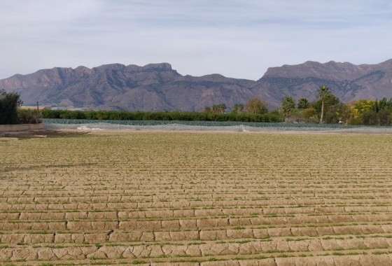 Herverkoop - Finca Landelijk pand -
Orihuela
