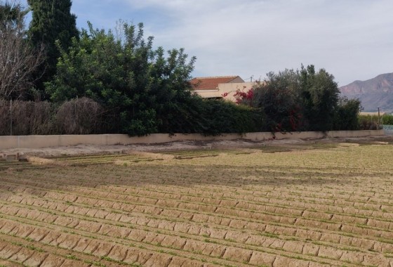 Herverkoop - Finca Landelijk pand -
Orihuela