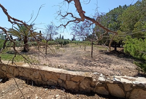 Herverkoop - Finca Landelijk pand -
San Vicente del Raspeig