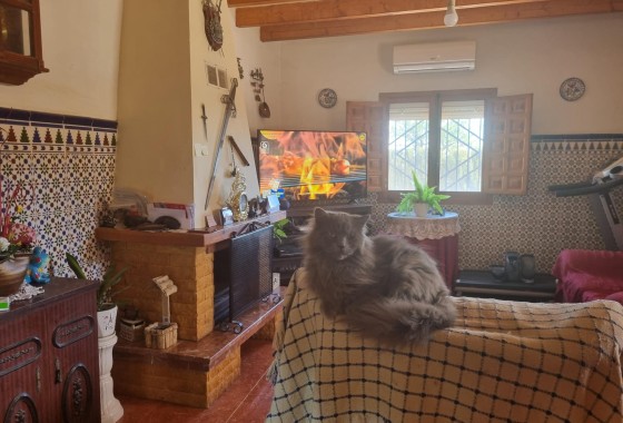 Herverkoop - Finca Landelijk pand -
Hondón de las Nieves