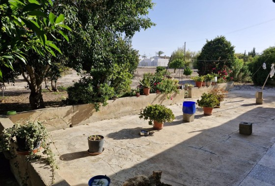 Herverkoop - Finca Landelijk pand -
Elche