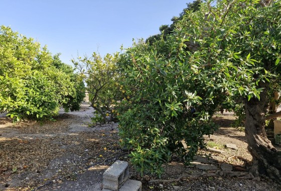 Herverkoop - Finca Landelijk pand -
Elche