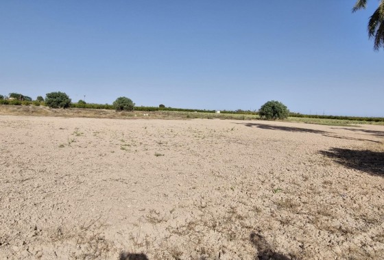 Herverkoop - Finca Landelijk pand -
Elche