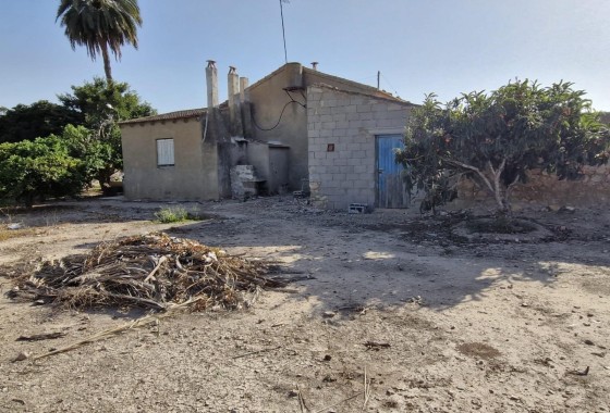 Herverkoop - Finca Landelijk pand -
Elche