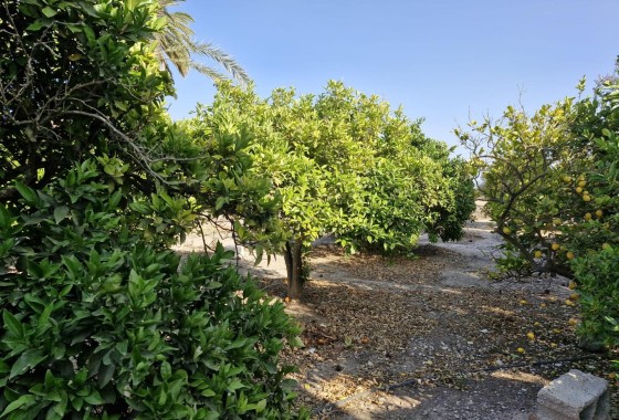 Herverkoop - Finca Landelijk pand -
Elche
