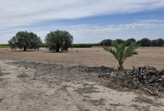 Herverkoop - Finca Landelijk pand -
Elche