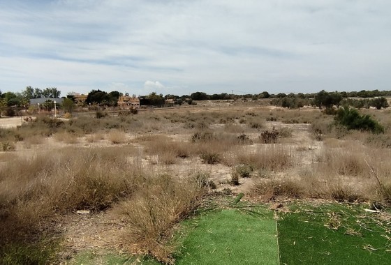 Herverkoop - Finca Landelijk pand -
Elche