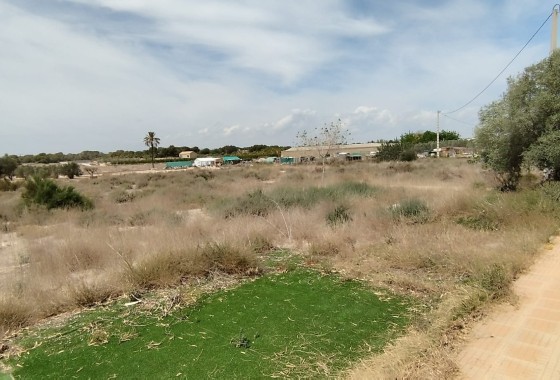 Herverkoop - Finca Landelijk pand -
Elche